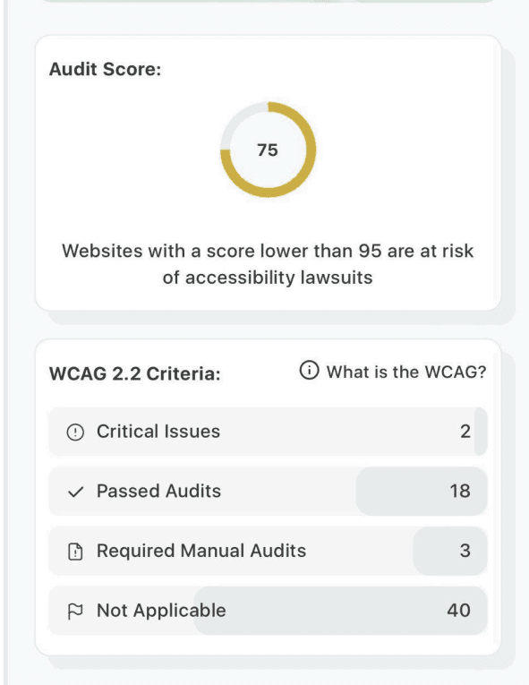 WCAG accessibility test results